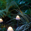 Solar LED Light Outdoor Mushroom Garden Decoration Lights IP66 Waterproof Garden Garland Furniture Decor Solar Cell Fairy Lights
