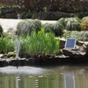 10V 5.5W Solar Fountain Outdoor Garden Fountain Floating Power Storage Solar Fountain Water Pump for Bird Plants