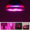 12W 24W 36W Led Grow Light Full Spectrum 12 PCS LED Growth Lamp Ultra Bulb For Plants All Stages