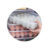 1 Layer 34 Grids Egg Tray Dumplings Box for Kitchen Refrigerator Storage Transparent