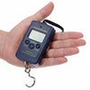 Small Scale Intelligent Electronic Portable 40 Kg Hanging Scale