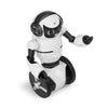 WLtoys F4 WIFI Camera Intelligent Balance RC Robot Toys