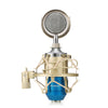 LEIHAO BM - 8000 Professional Sound Studio Recording Condenser Microphone
