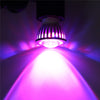 LED 5730SMD Grow Light Full Spectrum E27 6LED 10LED Red+Blue Growth Lamp Bulb For Flower Plant