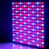 LED Grow Light 14W Red Blue Full Spectrum LED Plant Grow Light Hydroponics Flower Seed Indoor