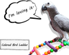 DS. DISTINCTIVE STYLE Bird Ladder Toys 27.6 Inch Coloured Flexible Parrot Swing Bridge Wooden Cockatiel Cage Hanging Climbing Ladder