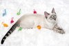 Hartz Cattraction Cat Toys with Silver Vine and Catnip for Livelier Play for Cats and Kittens, Multiple Styles