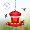 Hummingbird Feeder 16 oz [Set of 2] Plastic Hummingbird Feeders for Outdoors - Built-in Ant Guard/Chain - Circular Perch With 10 Feeding Ports/Wide Mouth for Easy Filling/2 Part Base for Easy Cleaning