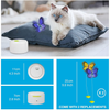 ALL FOR PAWS Interactive Motion Activate Butterfly cat Toy Flutter Bug Cat Wand Toy Interactive Cat Toy Cat Fun Playing Toys Kitten Toys (with Shiny Butterfly)