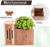 Solution4Patio Expert in Garden Creation #G-B309A00-US USA Cedar Butterfly House & Flower Pot 2 in 1 Combination Multifunctinal Design with Drainage Holes, 9.2 in. L x 5.7 in. W x 8.0 in. H