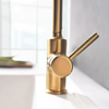 Brass Kitchen Faucet Single Handle One Hole Ti-PVD / Painted Finishes Pull-out / ­High Arc Free Standing Contemporary / Antique Kitchen Taps Contain with Cold and Hot Water