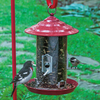 GARDENS ALIVE! Raspberry Red Backyard Bird Feeder - Great Gift Idea for The Bird Lover on Your List! 12 in. Tall Decorative Feeder Allowing a Variety of Seeds to Your Backyard Friends!