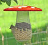 The Best Wild Bird Feeder to Attract More Wild Birds, Fill it with Sunflower Black Oil Seeds, Peanuts and Suet Pellets Easy to Install, Clean & Fill