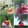 Handheld Hummingbird Feeders with Suction Cup, Multifunctional Mini Feeder with Perches Cleaning Brush for Window Outdoors (4 Pack)