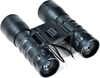 BXGTECH Binoculars Powerful Binoculars for Adults 10x32 Binoculars for Hunting, Bird Watching,Travel Sightseeing, Wildlife Watching, Outdoor Sports Games, Concerts