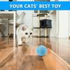 PAKESI Cat Toys, 3 Kinds of Animal Simulating Calls, Interactive Barking Cats Playing with Toy Balls, Cat Mint Toys, Teasing Cats to Relieve Boring Sound Balls.