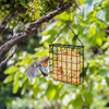 POPETPOP Suet Feeder - Suet Cage Suet Feeders with Hanging Metal Bird Feeders Suet Cakes Feeder for Wild Birds - Birds Feeder Outdoor Garden