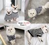 Dog Shirts Pet Clothes Striped Clothing, 2 Pack Puppy Vest T-Shirts Outfits for Cat Apparel, Doggy Breathable Cotton Shirts for Small Medium Large Dogs Kitten Boy and Girl (Black+Red, Small)