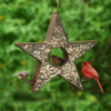 Good Directions BF303VB Copper Star Fly-Thru Large 4 lb. Seed Capacity Bird Feeder