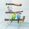 Roundler 3 Pack Apple Wood Bird Perch for Cage, Natural Wooden Parrot Perch Stand Platform Exercise Climbing Paw Grinding Toy Playground Accessories for Parakeet, Conure, Cockatiel, Budgie, Lovebirds