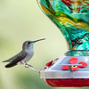 Muse Garden Hummingbird Feeder for Outdoors, Hand Blown Glass, 32 Ounces, Ant Moat Included, Rainbow Spirit