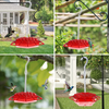 Hummingbird Feeders for Outdoors Hanging, Plastic Hummingbird Feeders with 30 Red Feeding Ports, Buil-in Ant Moat with Perch, Leak-Proof, Easy to Clean and Fill, Humming Bird Stand Feeder for Outside