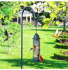 Squirrel Proof Bird Feeder, Metal, Hanging Type, Used in The Wild, Courtyard, Outside, Can Hold 1.3 Pounds of Seeds. A Must for Birdwatchers