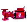 Bell & Gossett 106189 Bell & Gosset Iron Body Circulator Pump, Red