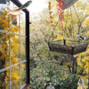 Hanging Bird Feeder Tray,Metal Mesh Hanging Food Tray Feeders, Seed Platform for Bird Feeders,Outdoor Garden Decoration for Wild Backyard Attracting Birds (1 Pack)