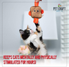 Pet Craft Supply Silly Snacks and Funny Food Crinkle Cuddling Catnip and Silvervine Interactive Cat Toys - Great For Indoor Cats and Kittens
