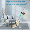 11 PCS Retractable Cat Feather Toy, Interactive Cat Toys Wand with 2 Poles & 9 Attachments Worm Feathers, Cat Feather Wand Toy for Kitten Cat