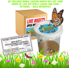 Nature Bound Butterfly Growing Habitat Kit - with Voucher to Redeem Live Caterpillars for Home or School Use - Pink Pop-Up Cage 12-Inches Tall