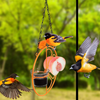 ALLADINBOX Oriole Bird Feeder, 17 inch Hanging Metal Bird Feeder,Detached Bowl Design,Orange Fruit Feeder,Great for Garden,Outdoor,Gift