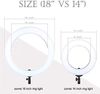 ZOMEI 18-inch LED Dimmable Ring Light with Stand, Warm Color Filter for Studio Photography,Beauty Make Up, Live Stream ,YouTube Video ,Compatible with Smartphone and Camera