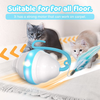 Moving Cat Toys Rolling Mouse Interactive Cat Exercise Toys with 5 Feathers USB Charging 2 Speeds Mode Colorful LED Light Automatic 360° Self Rotating Low Noise for Indoor Cats Kitten