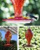 Hummingbird Feeders for Outdoors Hanging, Hand Blown Glass Hummingbird Feeder, Bird Feeders for Outside, Upgraded Never Leak Hummingbird Feeder by Sahara Sailor (36-oz) (Red)
