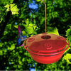 Ideology Humm-Yumm Hanging Hummingbird Feeder with A Protein Benefit | Holds 8 oz of Nectar | UV Resistant Plastic | The Humm Yumm Provides Complete & Balanced Nutrition for Your Hummer Friends | Red