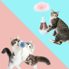 Interactive cat Toys for Indoor Cats, Tumbler Cat Feather Toys cat Ball Toy Kitten Play Chase 2 pcs Set with Cat Catnip