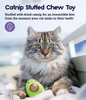 Petstages Lil' Avocato Dental Health Catnip Cat Chew Toy