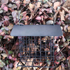 Bird Feeder/Hummingbird Feeder for Outdoors -- Wild Bird Feeder Black Small Hanging with Metal Rainproof Squirrel-proof Single Suet Cake Style for Outside O Squirrel Proof Feeders for Outside Window