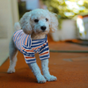 MIGOHI Dog Striped Shirt Cotton Puppy T-Shirt Lightweight Pet PJS Clothes Soft Apparel for Small Medium Doggy, Blue XL