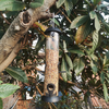 qwert Bird Hanging Feeder Bird Automatic Feeder Bird Feeder Container for Patio Backyard Courtyard