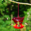 Songbird Essentials Bee Repellant Red Bird Hummingbird Feeder. 3 Nectar Ports. 12 Ounce Capacity