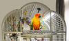 M&M Cage Company - Bird Cage Light with Chew Guard for Hook Bill Birds & Soft Bill Birds - Full Spectrum LED Pet Light - Simulates Natural Environment