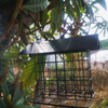 Bird Feeder/Hummingbird Feeder for Outdoors -- Wild Bird Feeder Black Small Hanging with Metal Rainproof Squirrel-proof Single Suet Cake Style for Outside O Squirrel Proof Feeders for Outside Window