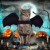 Qidelong Cat Dog Bat Wings Pet Halloween Costumes, Party Dress Up Funny Dog Bat Costume, Dog Outfit for Small Medium Large Dogs Puppy Kitten, Cosplay Dog Clothes Cool Cat Apparel