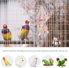 Bird Parrot Toys-6 Pcs , Natural Wood Coconut Bird House with Ladder Hanging Swing Pet Climbing Rotated Ladder Chewing Bells Bird Toys for Parakeet, Conure, Cockatiel, Mynah, Love Birds, Finch