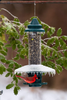 Weather Guard for Squirrel Buster Plus Bird Feeder (FEEDER NOT INCLUDED)