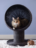 THE REFINED FELINE Kitty Ball Cat Bed, Curved Raised Shape, with Soft Washable Cushion, Scratch Proof Poly Rattan Bed for Cats and Kittens, Smoke (KBB-PY-SK-AMZ)