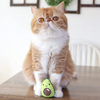 Petstages Lil' Avocato Dental Health Catnip Cat Chew Toy